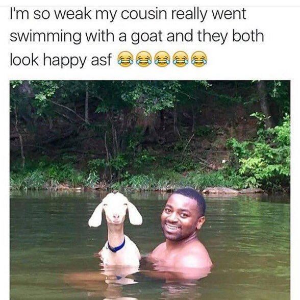 WORLDSTAR's tweet photo. 🐐😂 https://t.co/hLaUNKoqOm