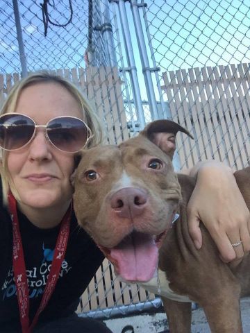 gaviota330's tweet photo. https://t.co/dqYumrswel
KILL LIST
YOUNG
GENTLE
SENSITIVE
AFFECTIONATE
#RESCUE
#FOSTER 4FREE HELPDOGS@URGENTPODR.ORG https://t.co/R8zVS5ktIC