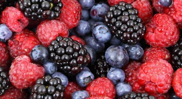Quai_Foodies's tweet photo. 5 raisons de consommer des aliments antioxydants et rester en bonne santé !

@Bioalaune_com
https://t.co/8cBjM5pmHQ https://t.co/2APhBRmZLL