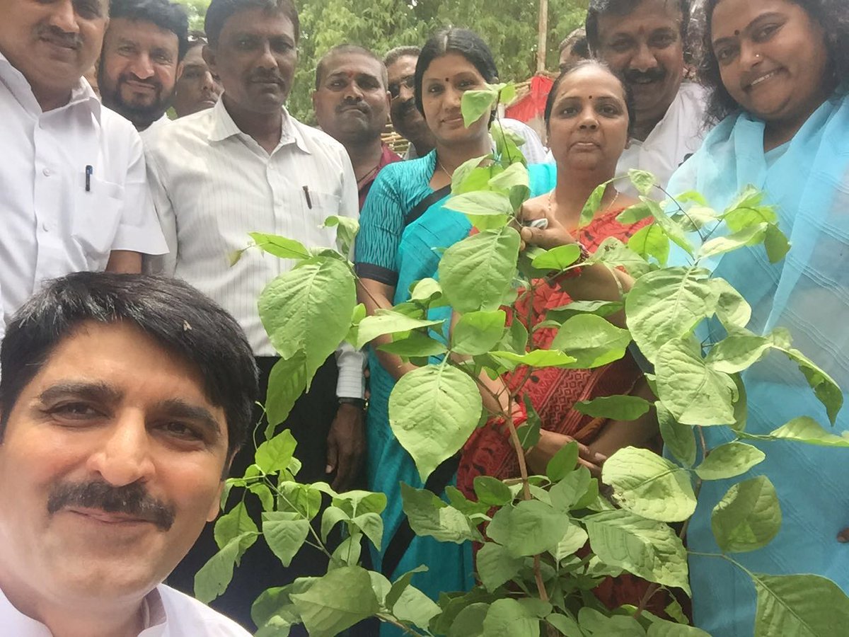 ChaudhryShankar's tweet image. Started the #SelfieWithATree initiative from Ahmedabad today by planting the holy Bili Patra plant.