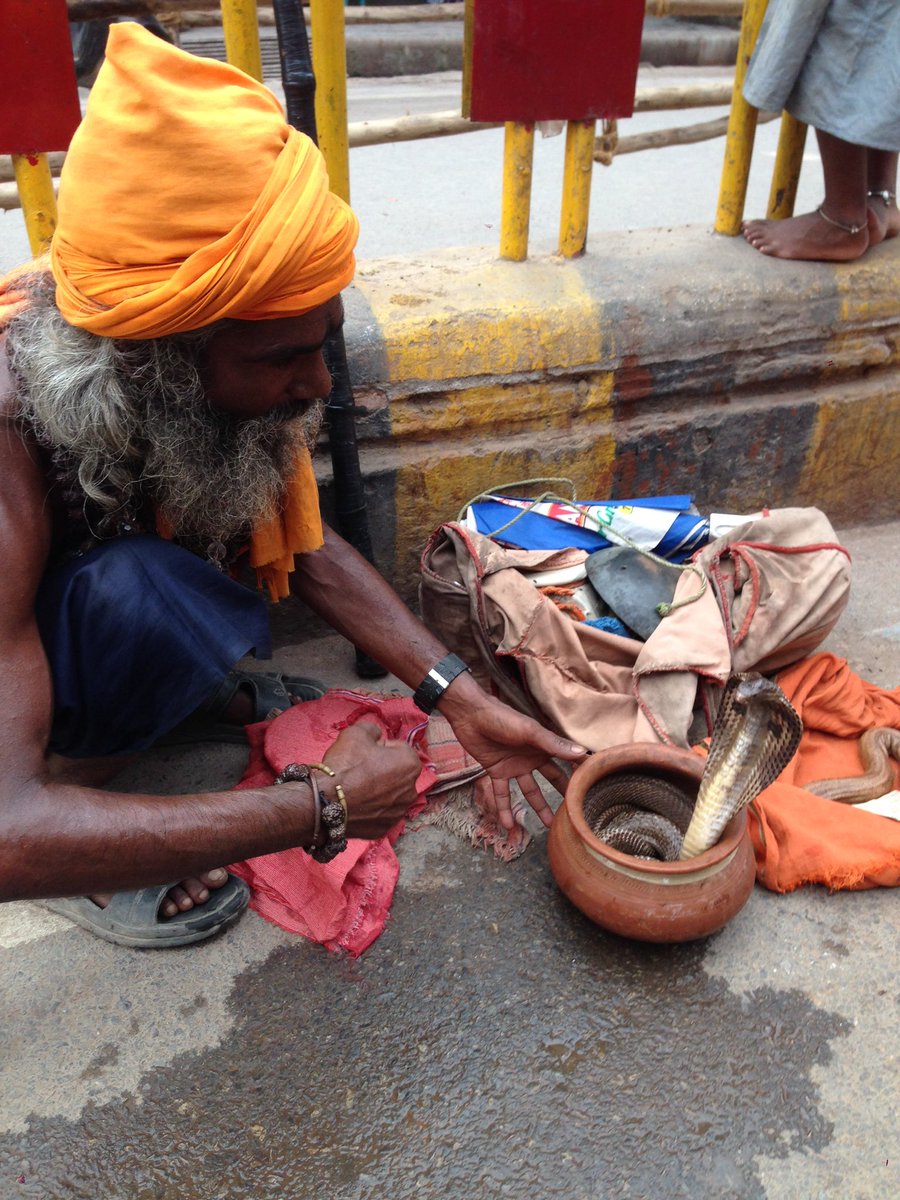 dranupkpandey's tweet image. #snakeCharmar #Dashashwamedh #ghat #Varanasi #India #Ganga