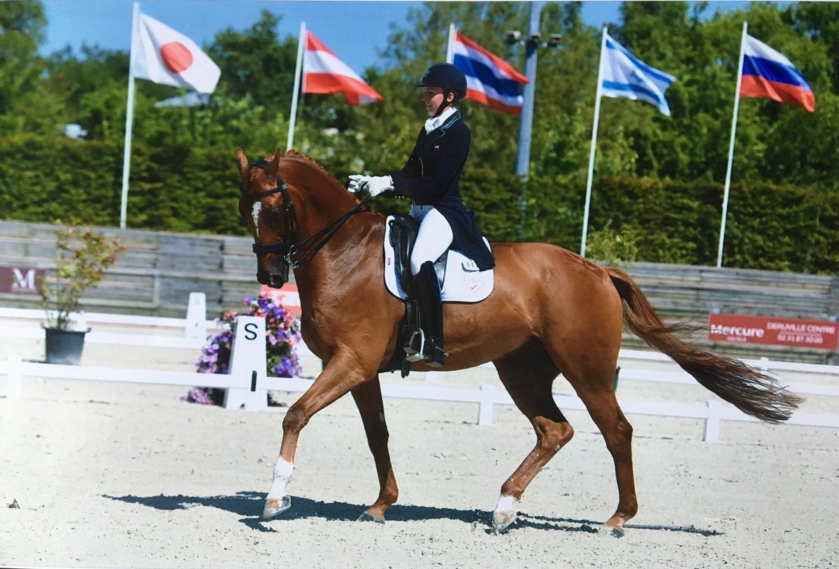 Lucy_Fallen's tweet photo. 67.3% and 7th in our first ever Grand Prix Freestyle...and it was an International! https://t.co/JjoMaqpf0f
