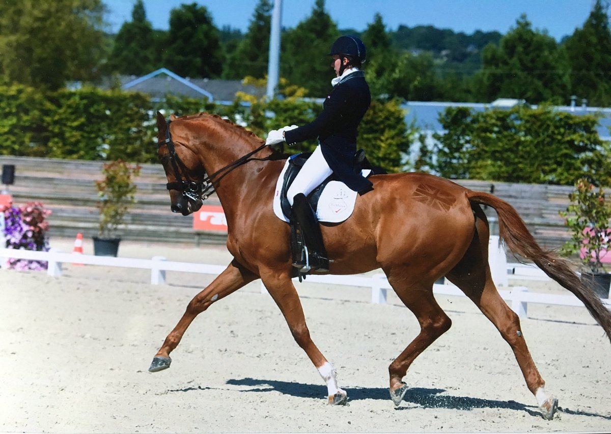 Lucy_Fallen's tweet photo. 67.3% and 7th in our first ever Grand Prix Freestyle...and it was an International! https://t.co/JjoMaqpf0f