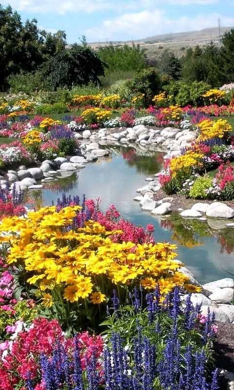 luthful7's tweet photo. @OtakuTuits @Ava_Av9 @Photo5065 @pepvilamala @peac4love @PurbaSr @vagimepujuf @lovi7 ;THANKYOU,have a great day 😊 https://t.co/dm62I7RCUP
