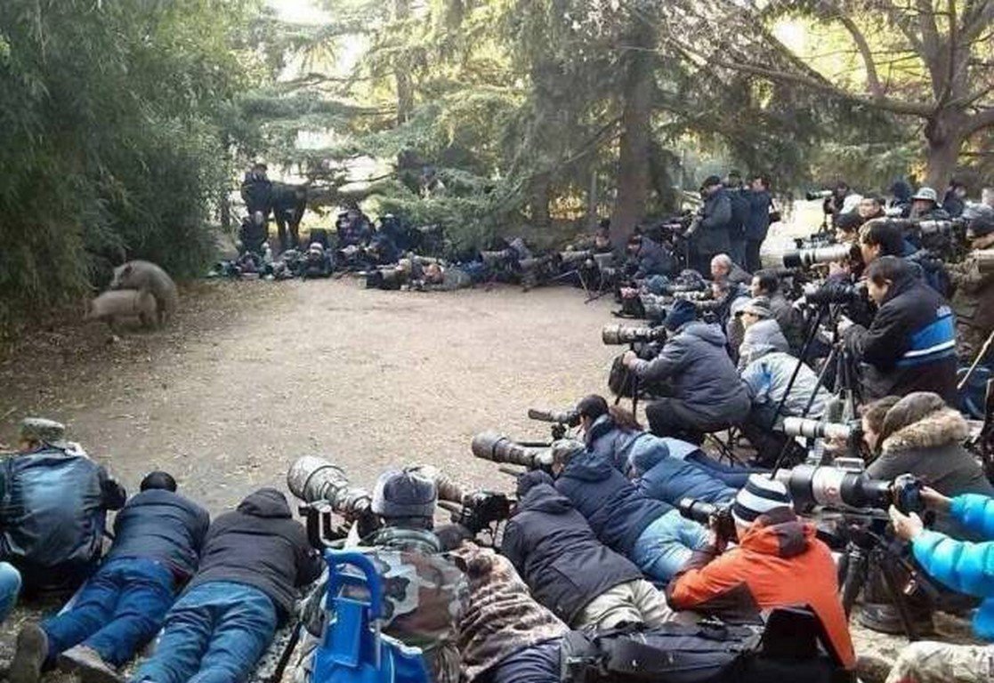 luislorenzor's tweet photo. Ver a estos Profesionales de la información buscando la noticia del verano, te pone el vello de punta. https://t.co/JcXvAiPFj5