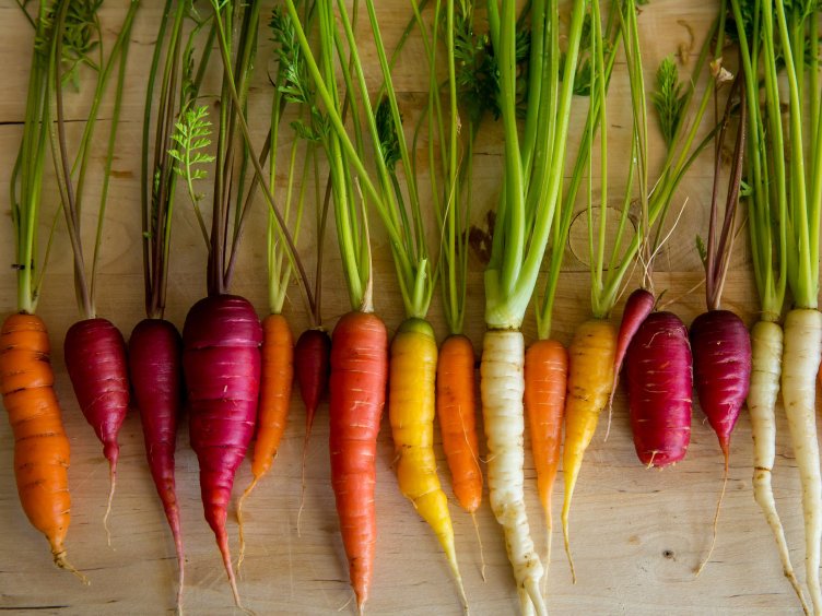 Pureveg_pl's tweet image. Kolorowe marchewki to nie żadne mutanty, to pierwotne odmiany marchwi:) #marchew #kolorowemarchewki #roslinniejemy