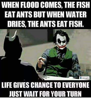 Gul pirzada (@gul_pirzada) on Twitter photo 