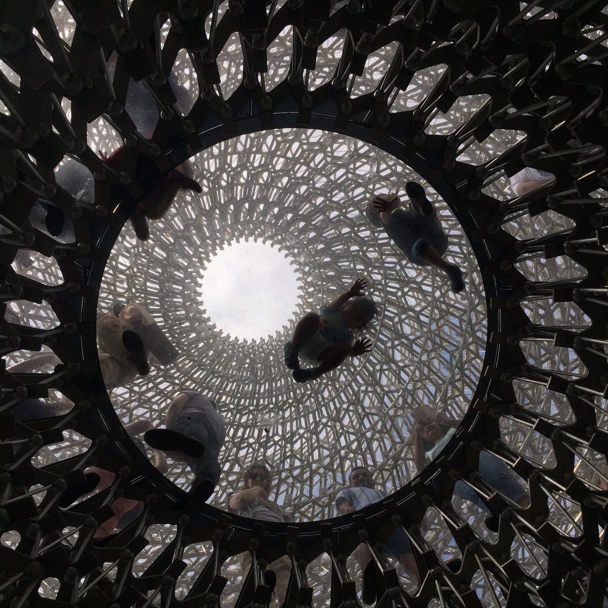 WeAreStudio_HE's tweet photo. Get out to @kewhive #kewgardens to experience their hive pavilion and learn about #bees #architechnology https://t.co/pCUyut6tCW