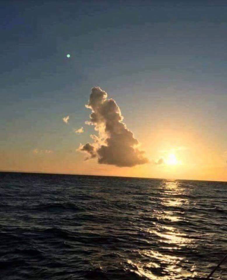 #Brexit ecco che fine ha fatto il Regno Unito.