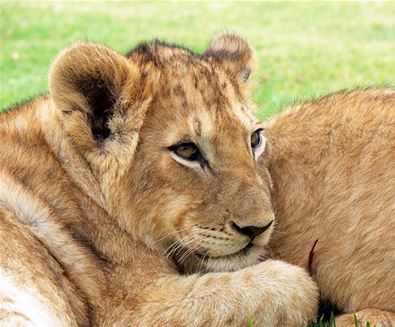 Suffolk is full of fun things to do with the family this Summer ow.ly/YNUN3029XOS #Summer2016