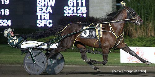 trotinsider's tweet photo. Foiled Again, #harnessracing's all-time richest horse, pointed to PEI's Gold Cup &amp; Saucer https://t.co/8Y3C66xabx https://t.co/fyi9YwdaDT