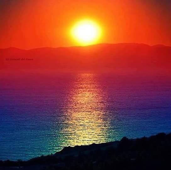 vito diocesano tweet media