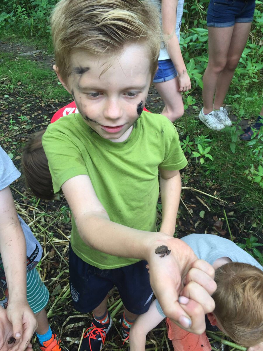 Into the Wild tweet media