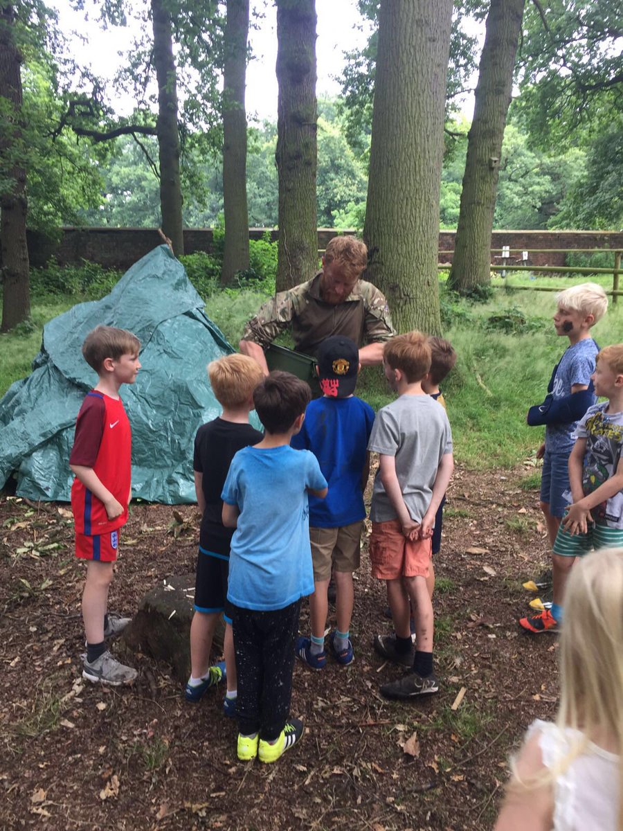 Into the Wild tweet media