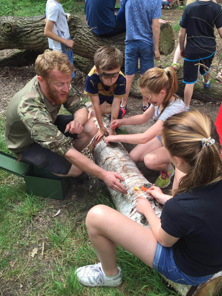 Into the Wild tweet media