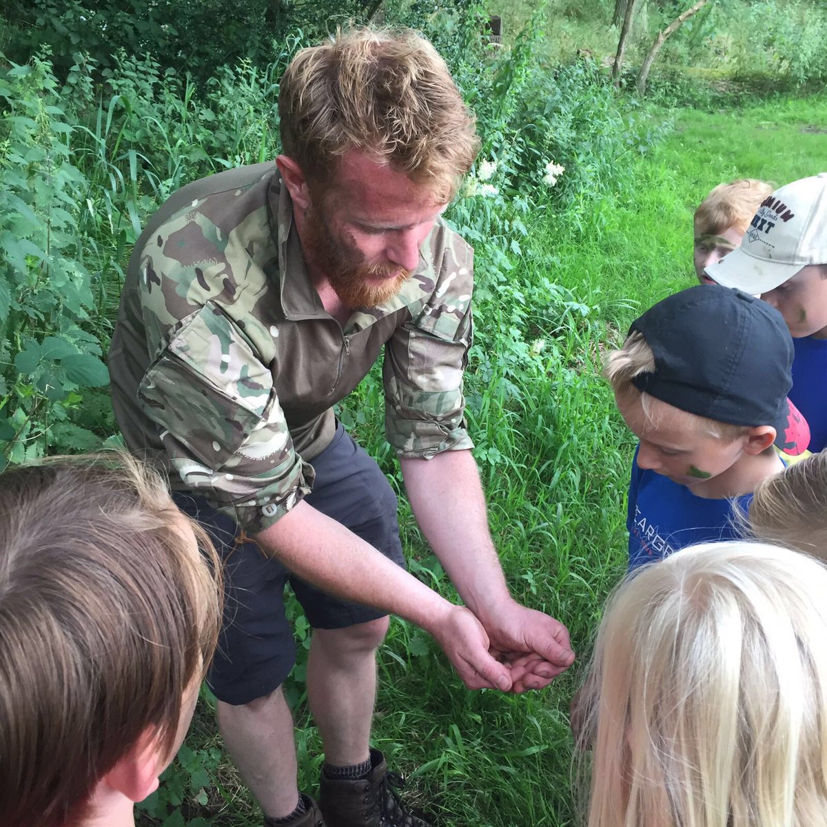 Into the Wild tweet media