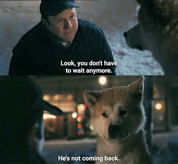 MOVIEMEMORlES's tweet photo. Hachiko: A Dog's Story https://t.co/eGnCCKghiM