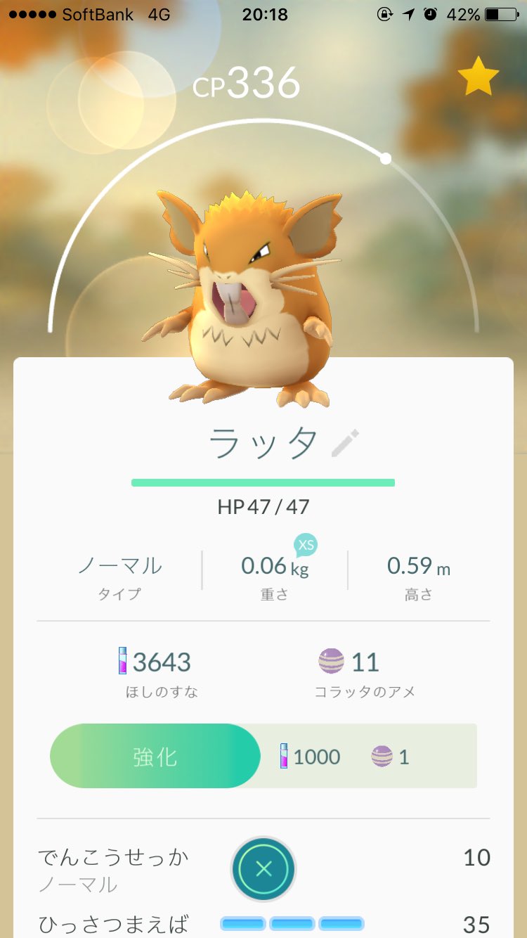 じゃくそん ラッタ ポケモンgo 体重60ｇ 約1センチ 1ｇ T Co Uxpmg2sfkc Twitter