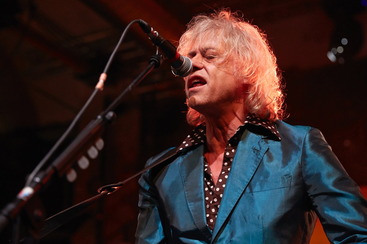 Stereogum tweet media