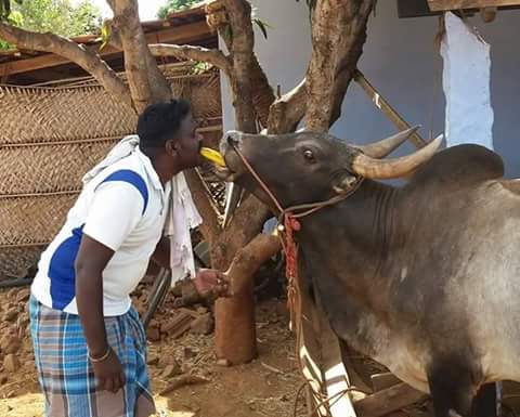 FAmazers's tweet photo. @PoorvaJo Even countless people in tamilnadu are against PETA , so wat? Goto hell @PetaIndia https://t.co/AuVfeOV6BU
