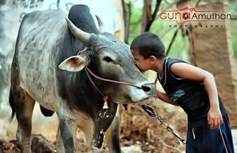 FAmazers's tweet photo. @PoorvaJo Even countless people in tamilnadu are against PETA , so wat? Goto hell @PetaIndia https://t.co/AuVfeOV6BU