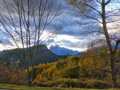 Els boscos caducifolis, un dels tresors naturals de #Catalunya. Ho explica <a href="/ViatgesP/">Viatges Pedraforca</a>: bit.ly/1HAUjO8