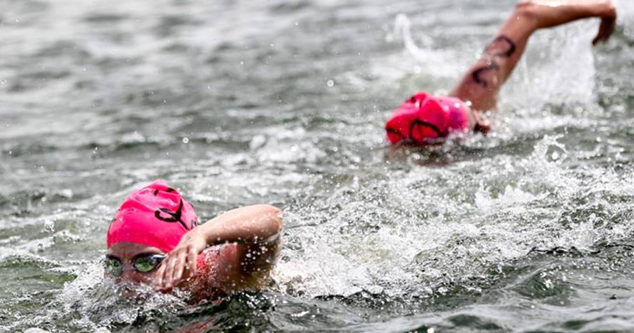 asanortheast's tweet photo. North East Swimmers shine at ASA 2016 Open Water National Championships https://t.co/gWG22lwkO8 https://t.co/ObZwlc3Rx2