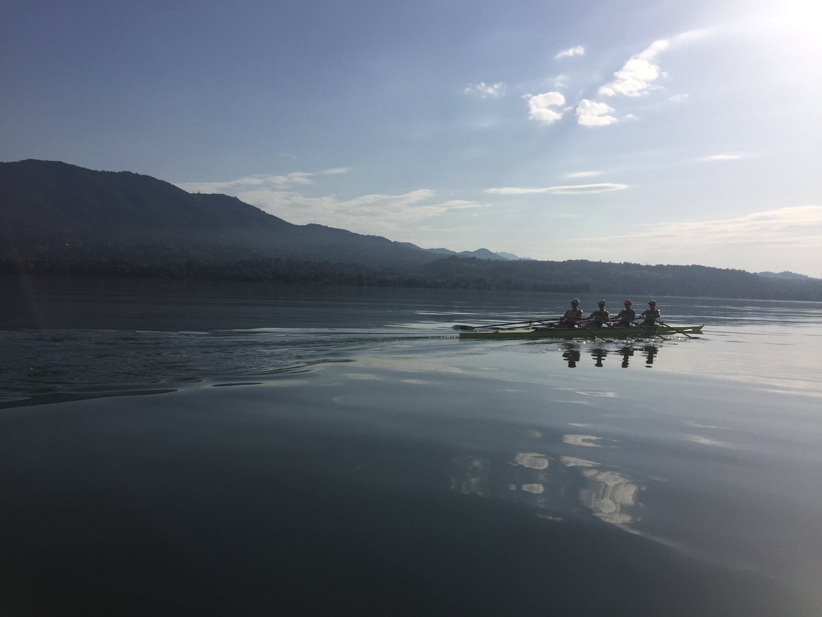Rowing Australia tweet media