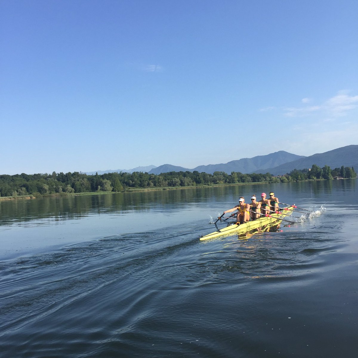 Rowing Australia tweet media