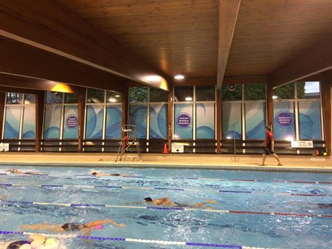 saltayre's tweet image. Heysham Pool looking snazzy with their new window and wall stickers #communitypools