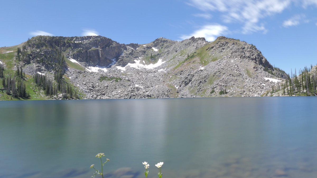 Roberto Barcellona tweet media