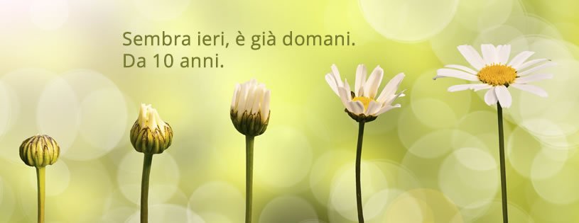 mokosrl's tweet photo. Sembra ieri, è già domani. 
Da 10 anni. #happybirthday 
#mobileapp #websites #webapp #digital #smartphone #tablet https://t.co/IBvnbr1lZs
