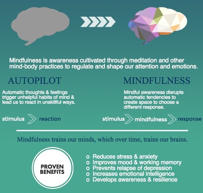 MindfulEveryday's tweet photo. The difference between autopilot &amp; #mindfulness. via @jomarshall2 https://t.co/J7Q0pccpju