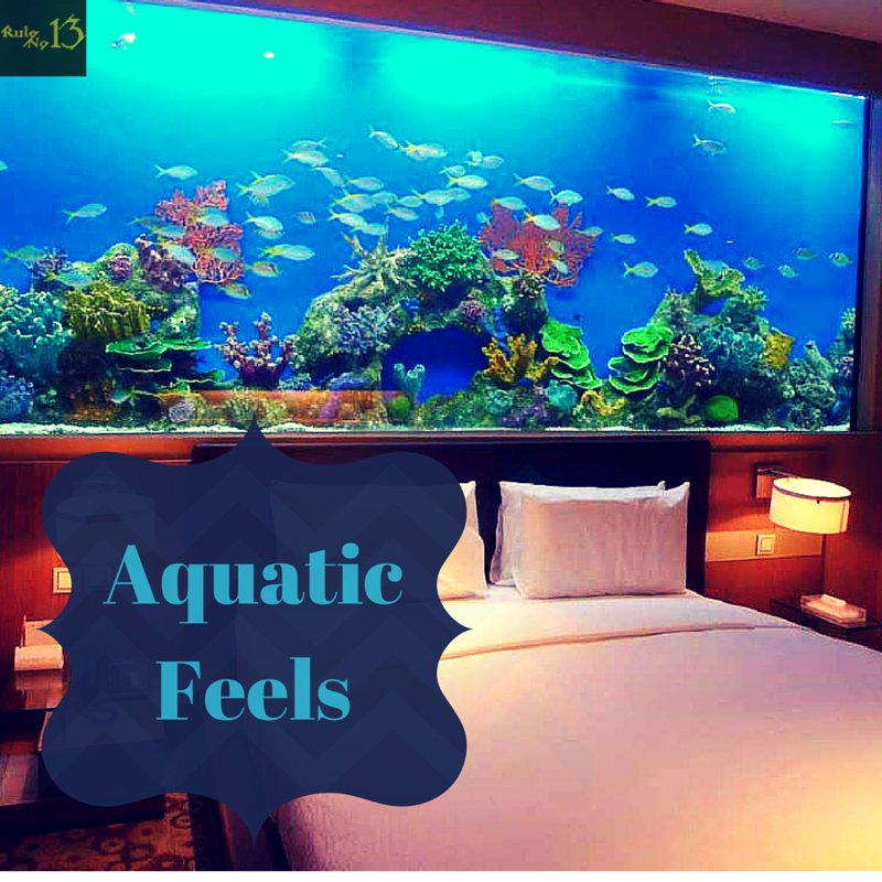 RuleN013's tweet photo. Give your bedroom one of a kind aquatic look with this custom made Aquarium bed. #RuleNo13 #LetsUnbelong https://t.co/1mSVMw8fPX