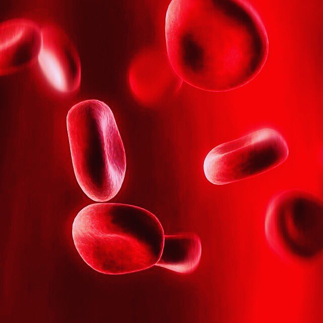 EmmaPoo5's tweet photo. The blood https://t.co/SglnHvWJbN