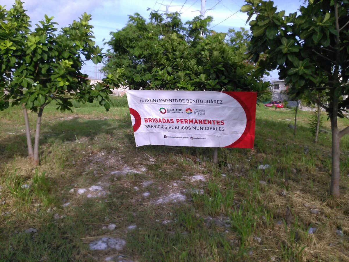 EmmanuelZetina's tweet photo. Continua la limpieza de #Av20DeNov camellon y banquetas @VivoEnCancun @DAVIDROMEROVARA @gaby_escamilla https://t.co/wLhjSTQfc1