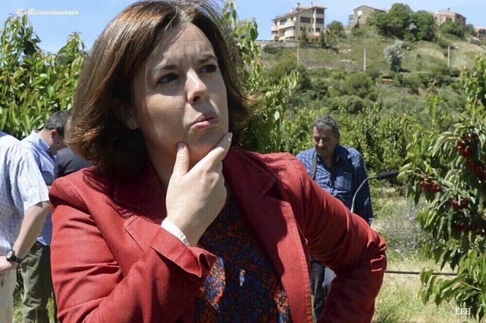 SrShadowban's tweet photo. Si alguien se baja una peli en Jamaica, ¿es un Pirata del Caribe? https://t.co/AZeprM9v7d
