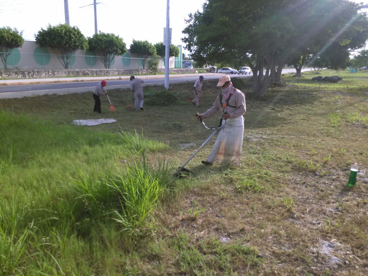 EmmanuelZetina's tweet photo. Limpieza área verde en #Reg227 con #Av20DeNov @AytoCancun @VivoEnCancun @PaulCarrillo2 @fauadrian @gaby_escamilla https://t.co/q6wdJ3Gr8v