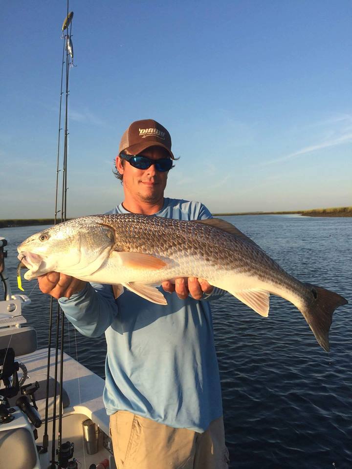 fooreel1's tweet photo. surprise on light tackle. @TAllenRods #downsouthlures @RealSaltLife https://t.co/UUnrUs9fSV