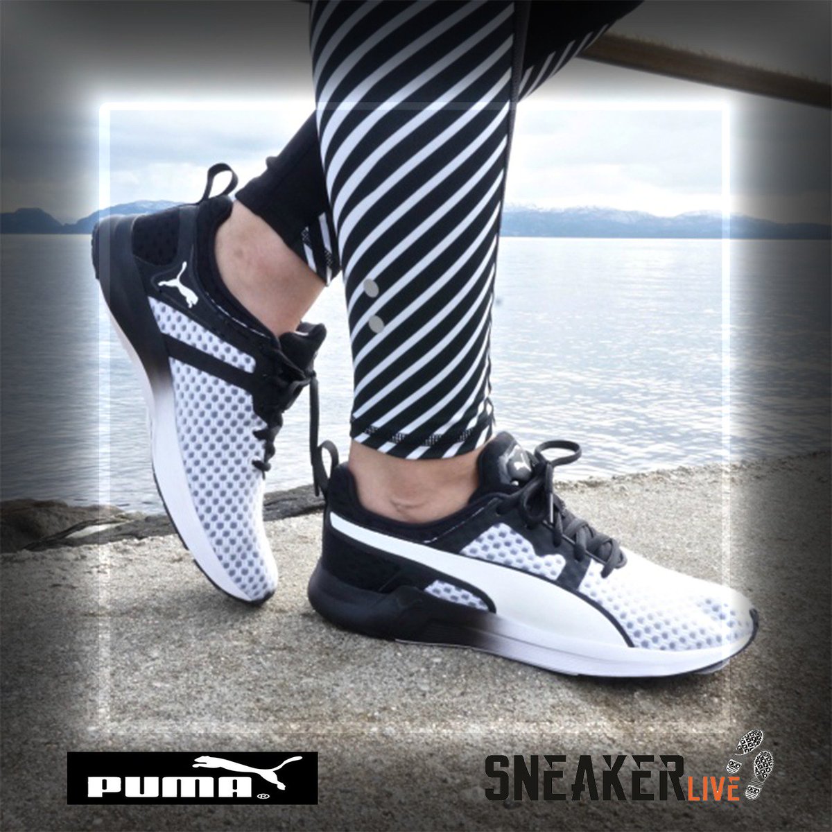 sneaker live online
