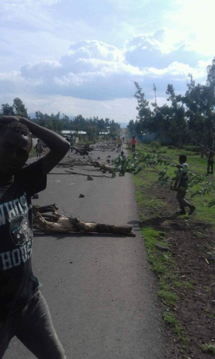 GammadaE's tweet photo. #OromoProtests Road Closure in action in Adaba, West Arsi. Traffic movement have been completely halted. https://t.co/bEPkSo5YpF