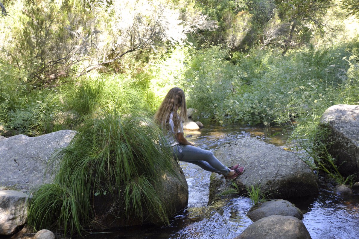 Ana_Flea's tweet photo. Wandering far, disappearing, feet stuck in place not moving https://t.co/BnzBu5Zuke