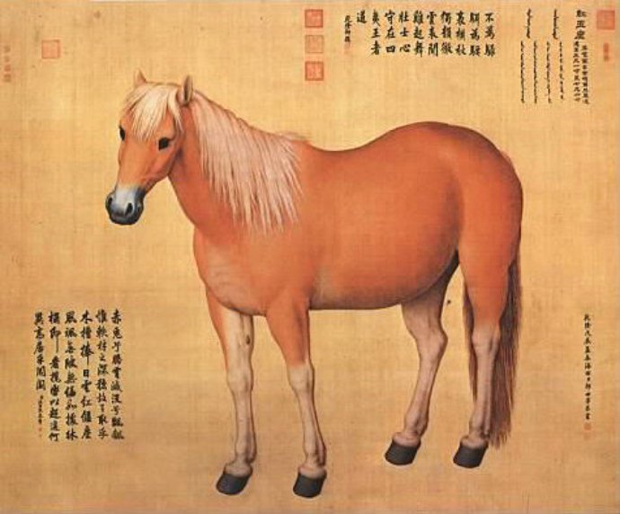 Великий и могучий китайский #язык.
Всего один иероглиф 驈 означает „вороной конь с белыми ногами“.