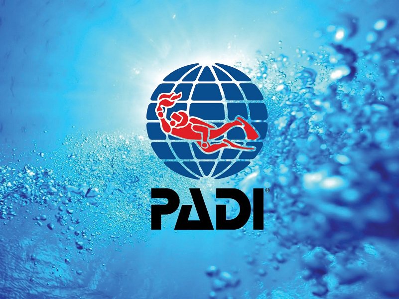 Todavía no tienes tu <a href="/PADI/">PADI</a>? zoea.com/curso-de-buceo… Consíguelo hoy mismo!