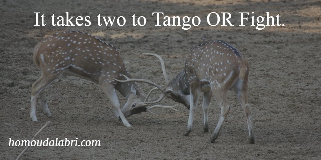 النزاع لا يمكن أن يدوم من غير مشاركتك، فتوقف عن المشاركة !