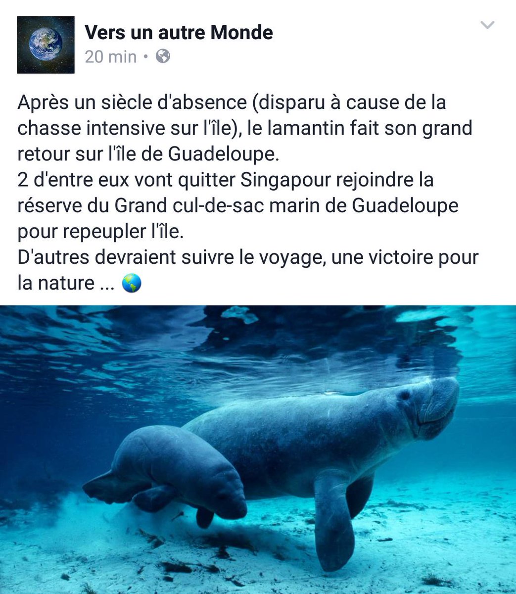 monde_biodi's tweet image. Les bonnes nouvelles, ça existe.