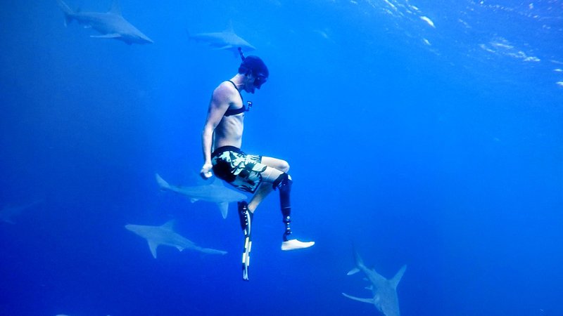 theoceanproject's tweet photo. Protect sharks by expanding Papahanaumokuakea #GoBigObama #ExpandPMNM #BlueParks https://t.co/L0QSTNRGet https://t.co/2P1s8AQKxQ
