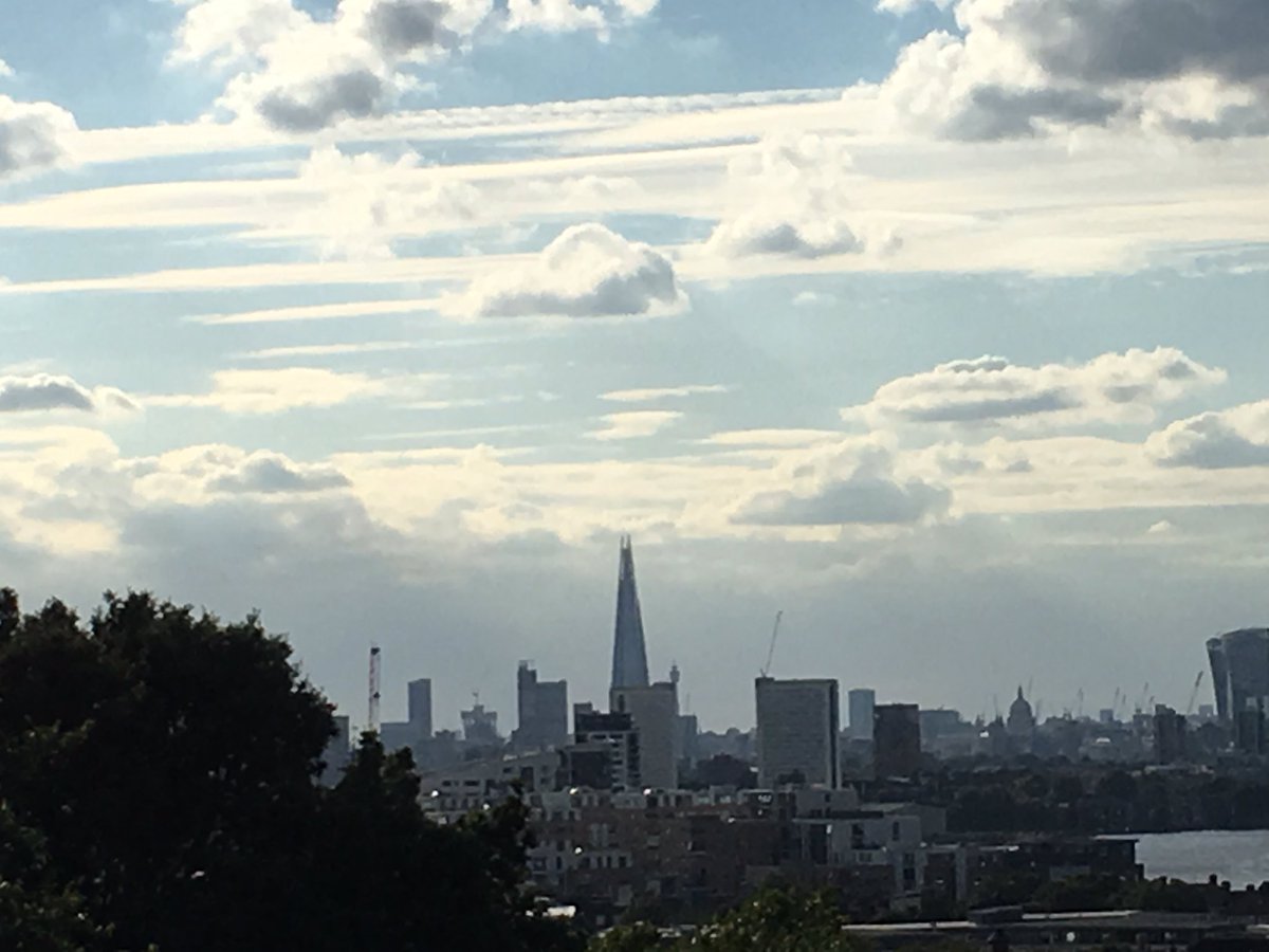 Maggie Wilson tweet media