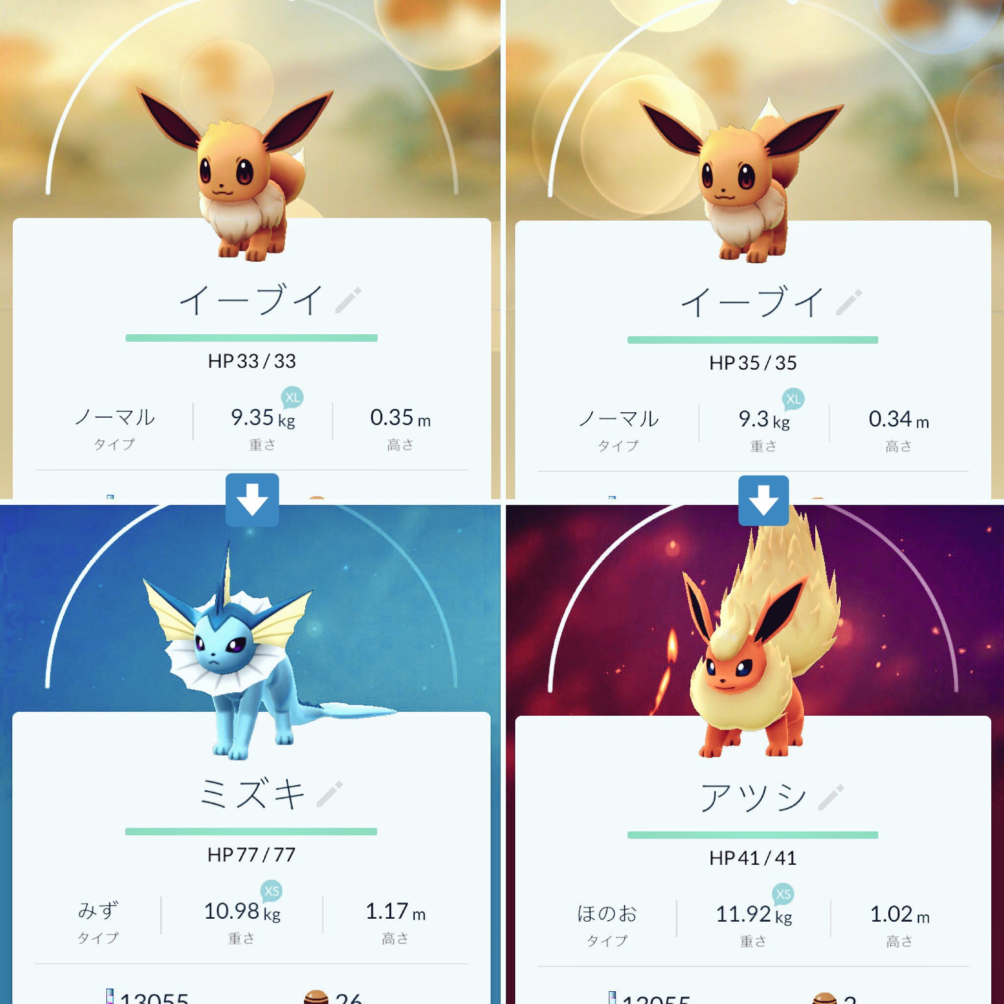 טוויטר 横田瑞貴 Mzk בטוויטר イーブイの名前変えてから進化のやつ ミズキ シャワーズ アツシ ブースター 本当だった嬉しい サンダースはライゾウらしいです Xl進化させてもxsになるんだなぁ ポケモンgo T Co Rwnculvcs2