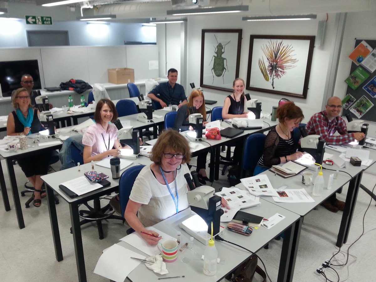 Spider workshop participants #IDTrainers, volunteers and NHM staff <a href="/NHM_London/">Natural History Museum</a>